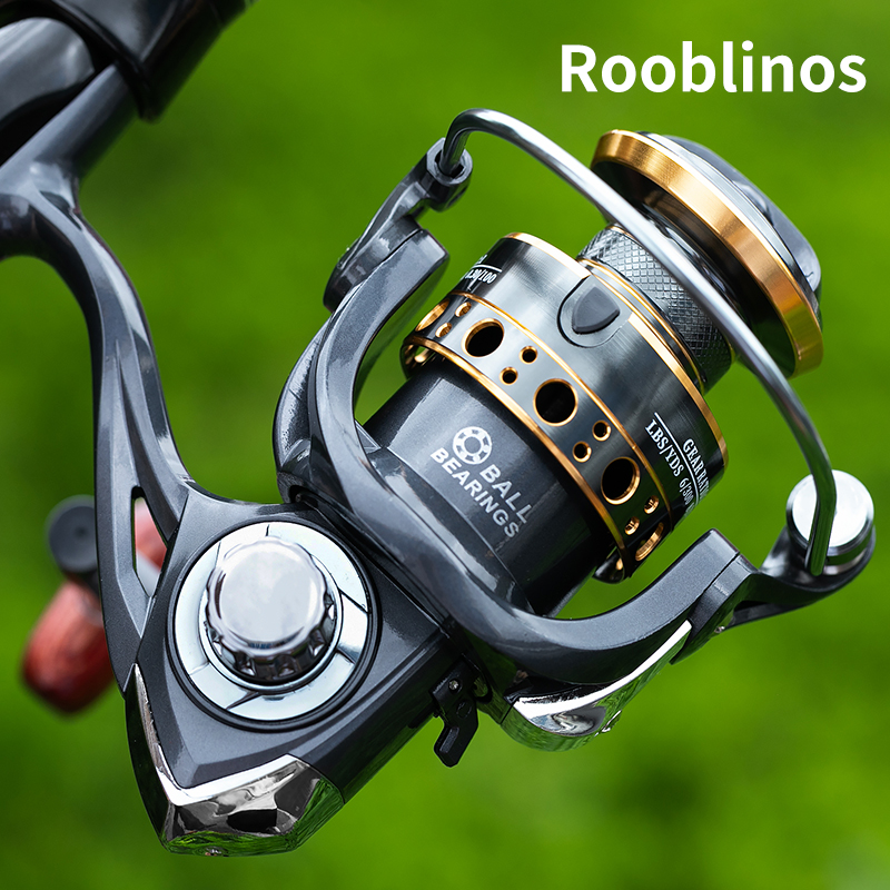 Daiwa Reel Bg - Rooblinos BK 스피닝 낚시 릴, 바닷물